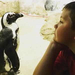 Meet your Posher, Steven